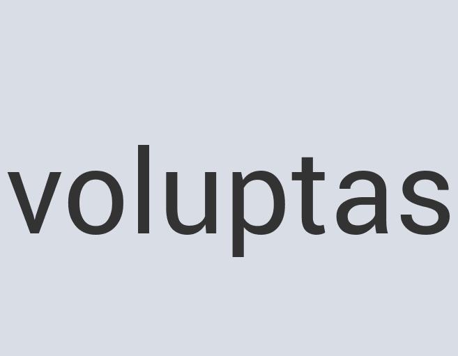 Aerodynamic Leather Zillidium